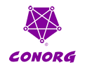 Conorg Plan de Acci&oacute;n